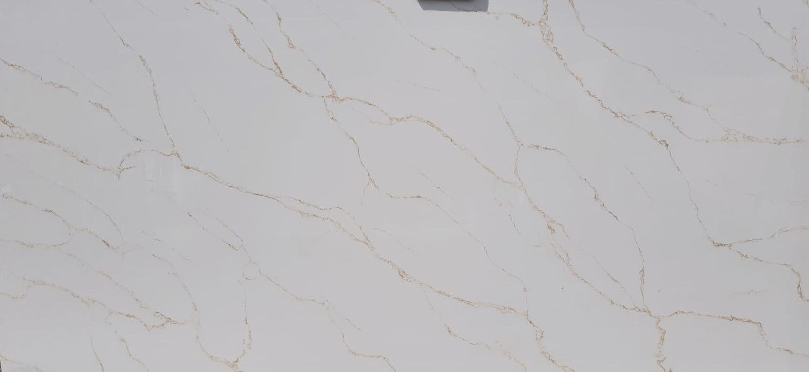 Quartz Offcut Required | Calacatta Gold Style | 600mm x 300mm | Polished | Softened Edges